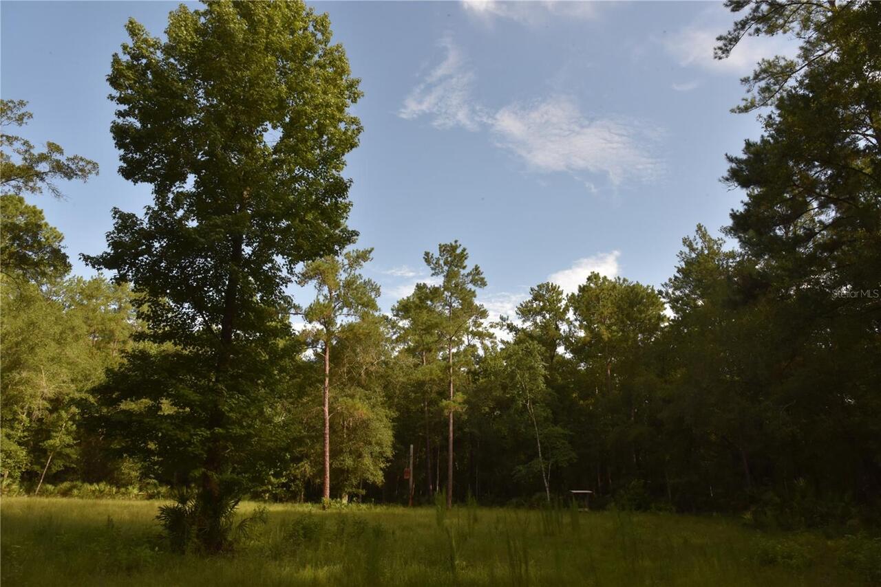 Listing Photo 76