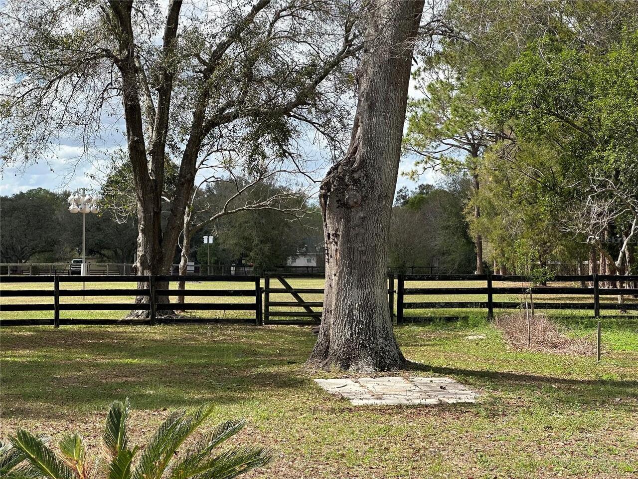 Listing Photo 27