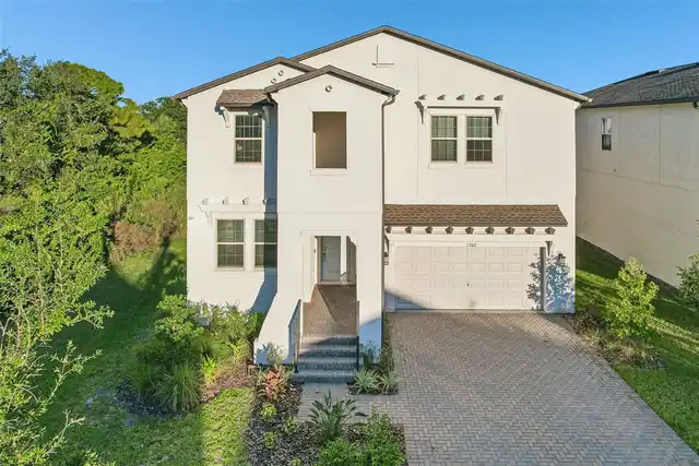 Tampa Real Estate