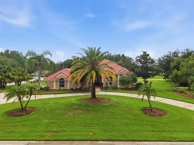 Lutz Real Estate