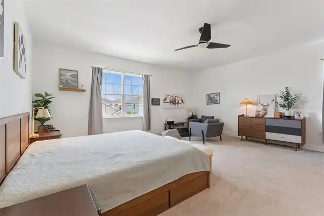 Listing Photo 17