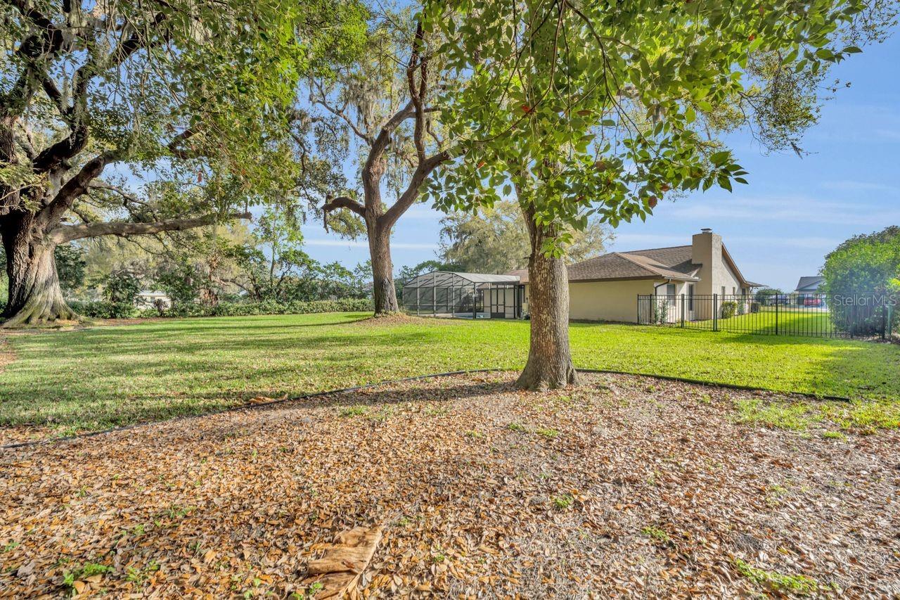 Listing Photo 39