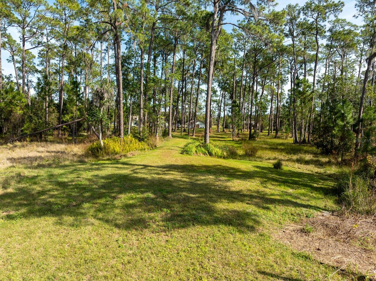 Listing Photo 10