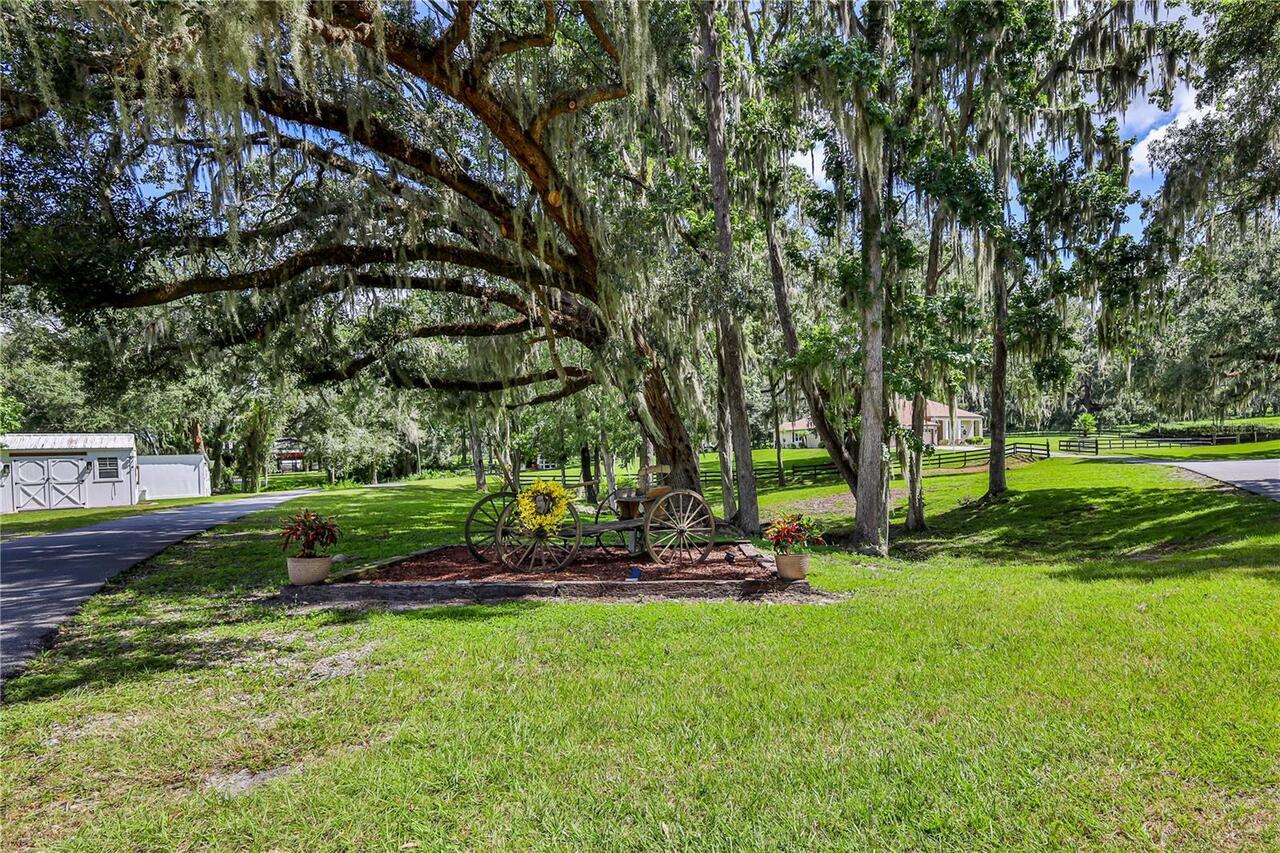 Listing Photo 92
