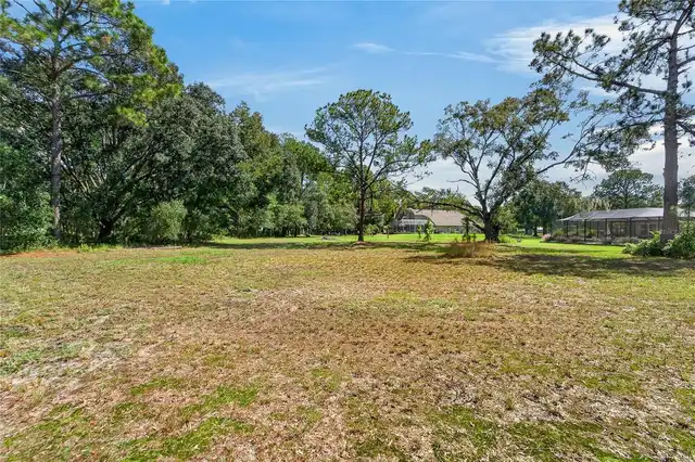 Listing Photo 74