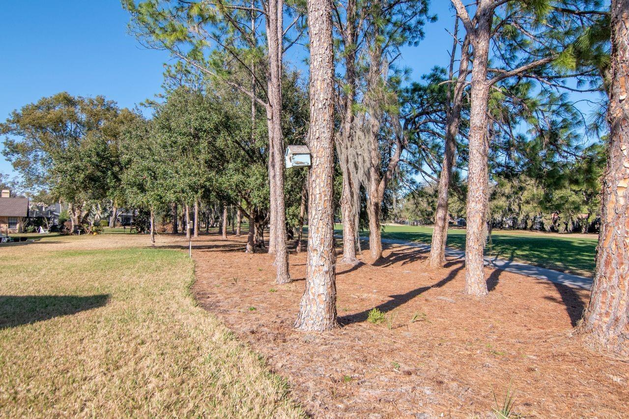 Listing Photo 42