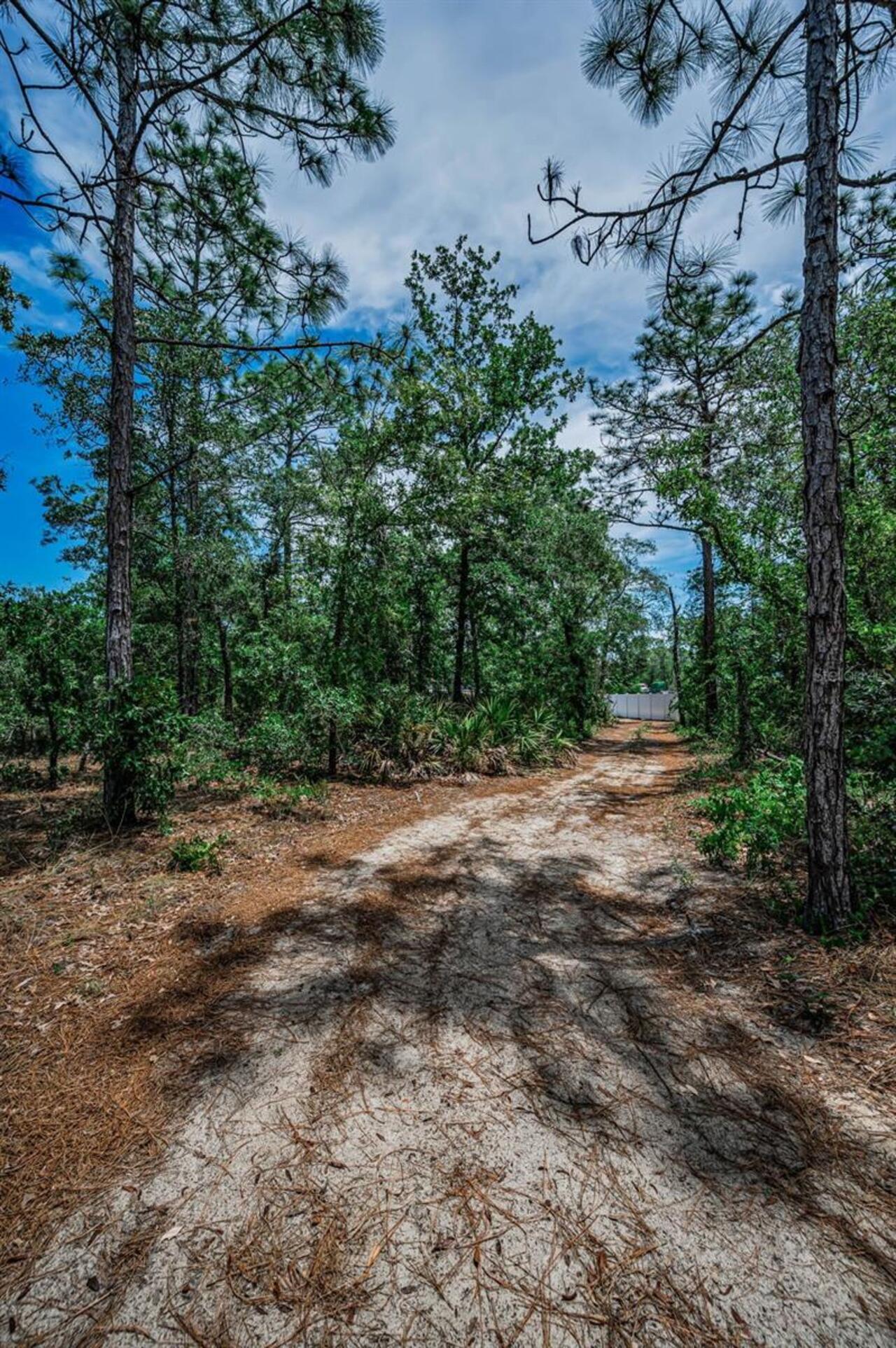 Listing Photo 73