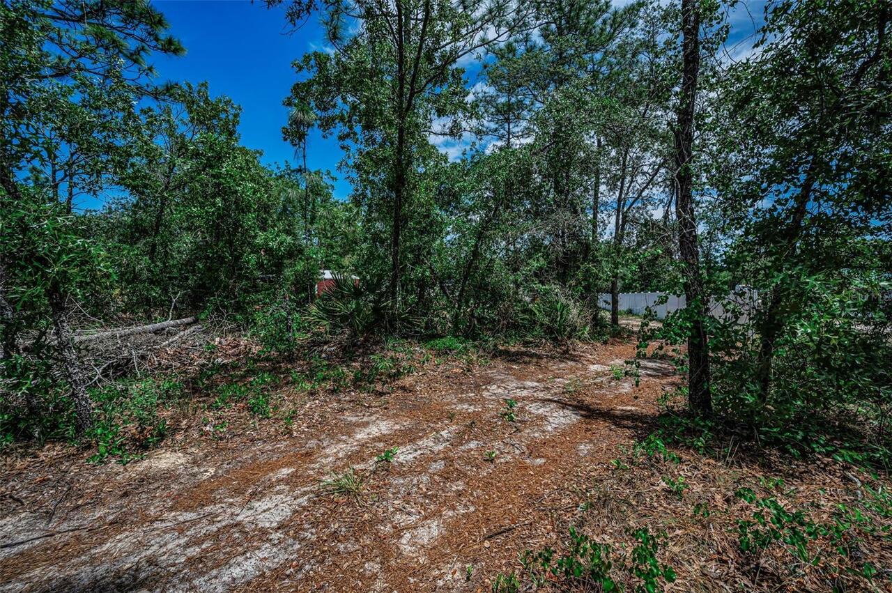 Listing Photo 74