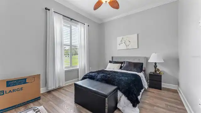 Listing Photo 43
