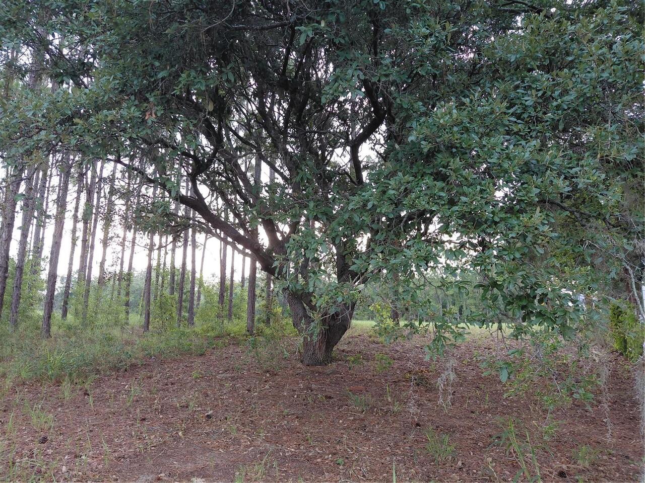 Listing Photo 8