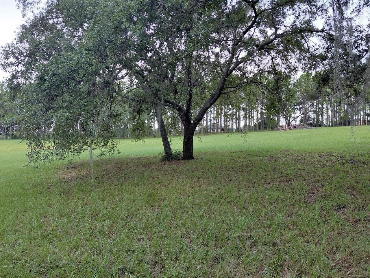 Listing Photo 11