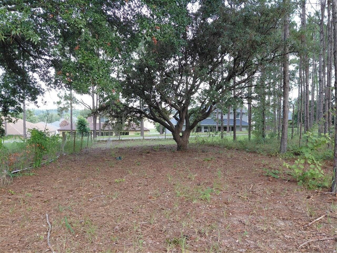 Listing Photo 12
