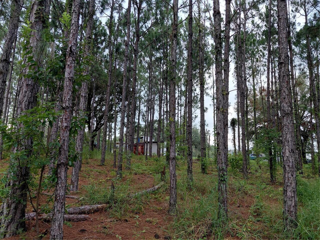 Listing Photo 15