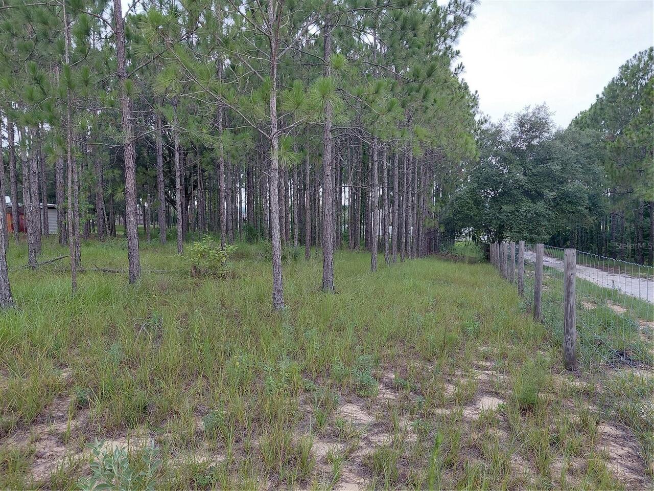 Listing Photo 16