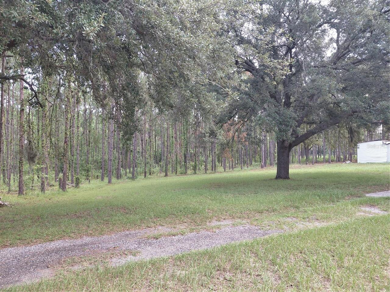 Listing Photo 17
