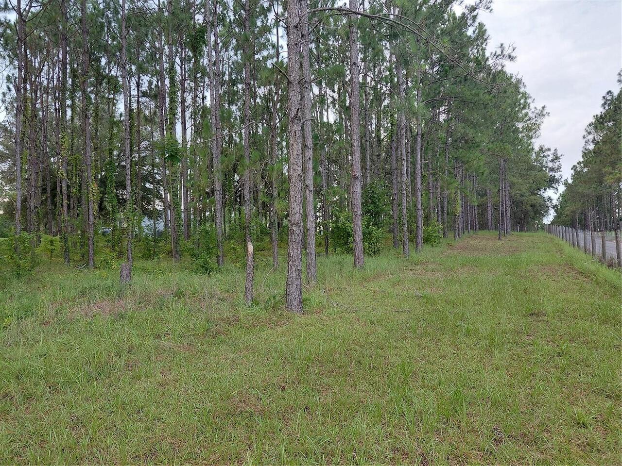 Listing Photo 20