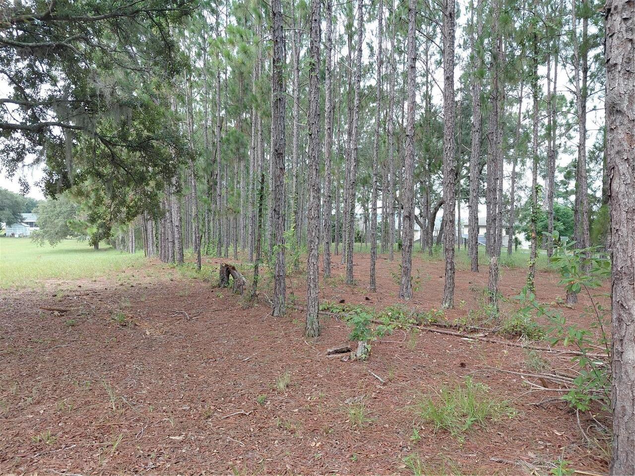 Listing Photo 23