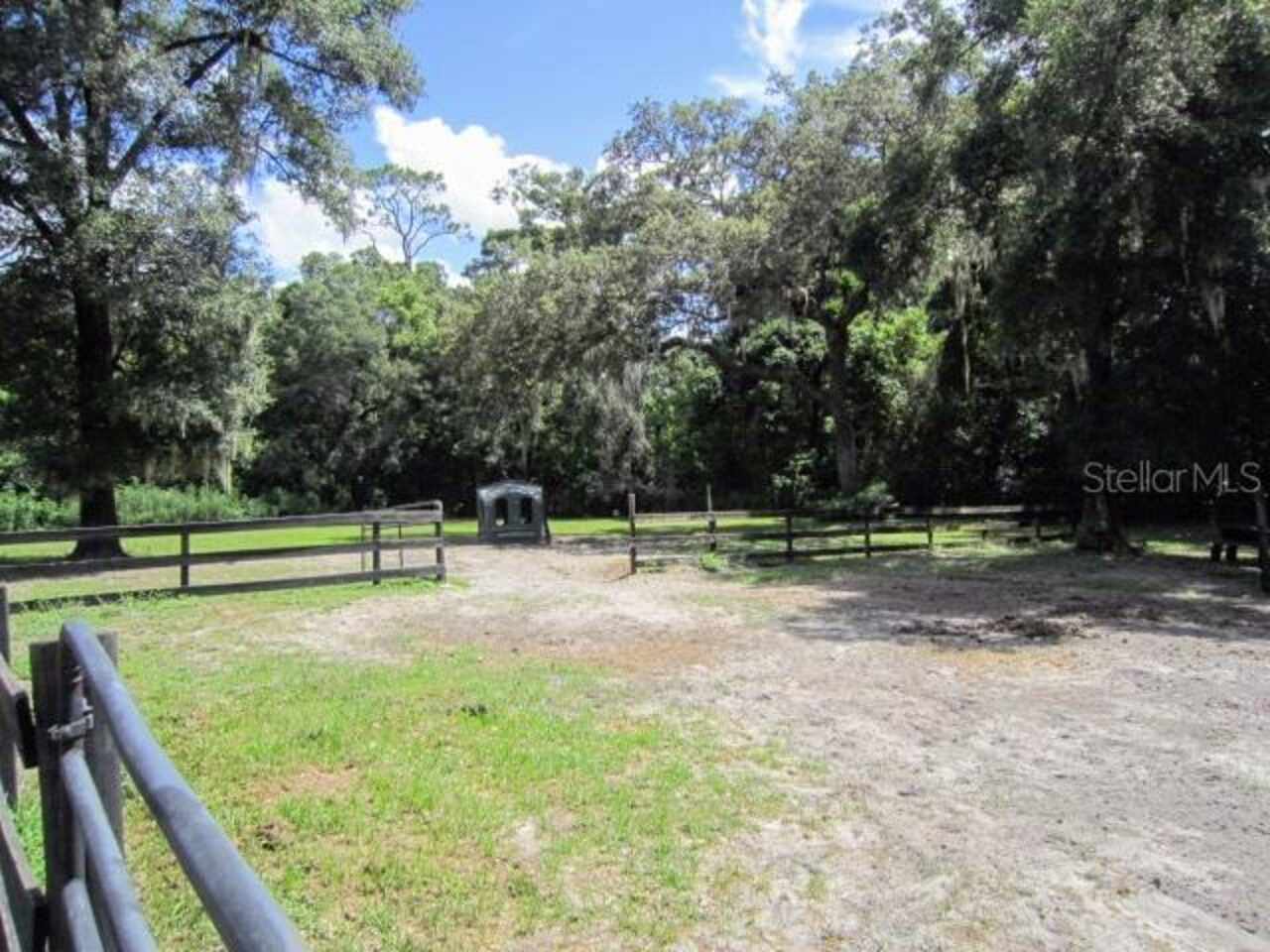 Listing Photo 10