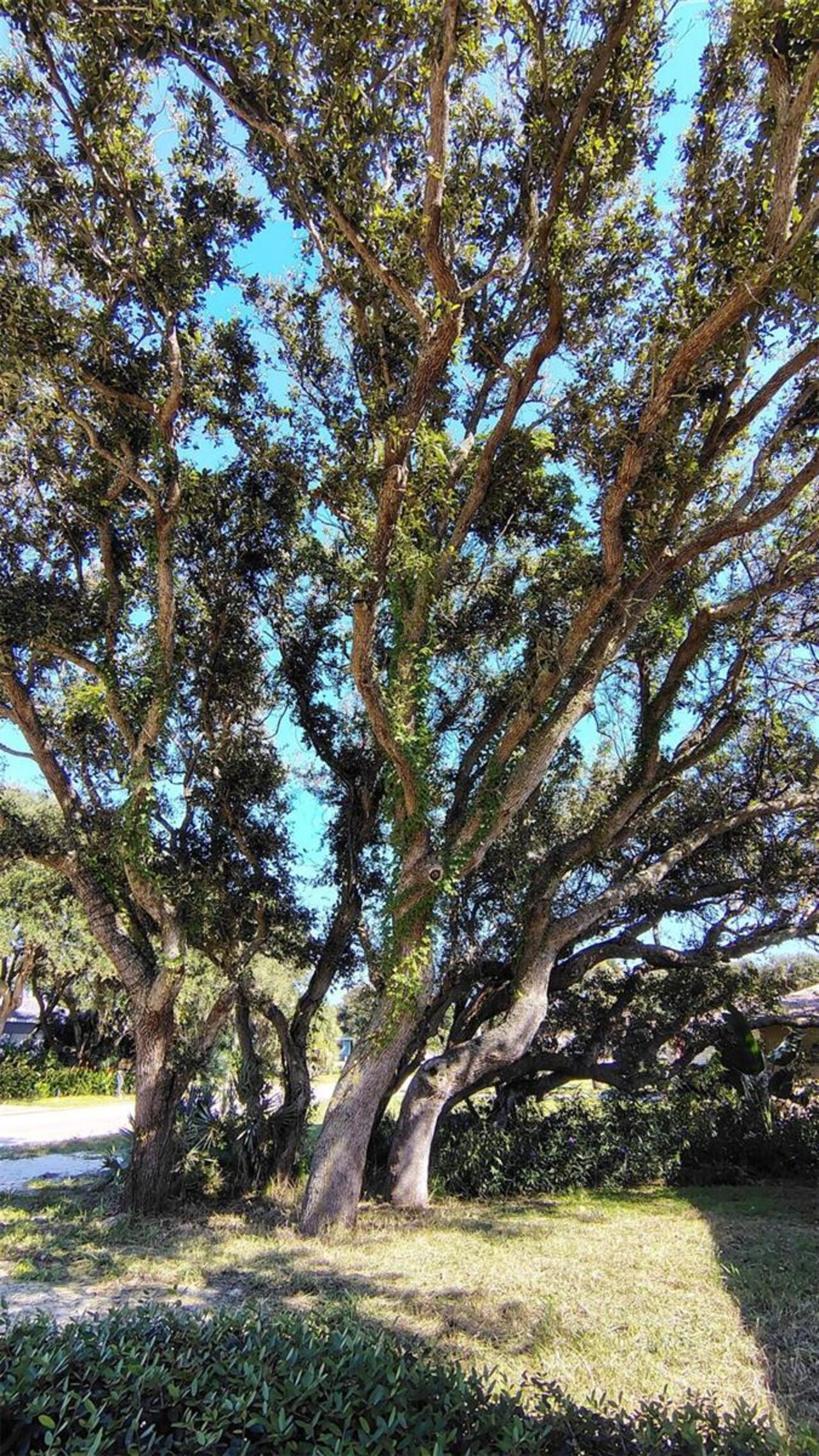Listing Photo 23
