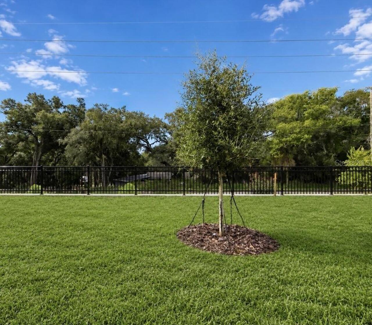 Listing Photo 11
