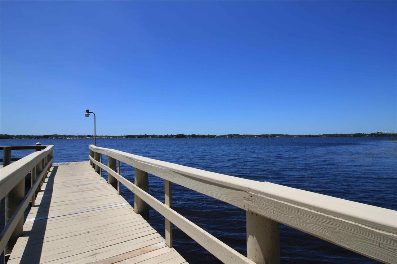 Listing Photo 81