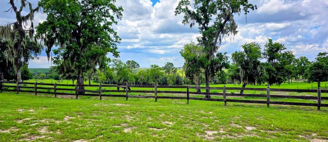 Listing Photo 74