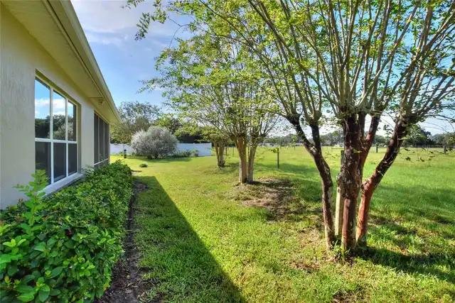 Listing Photo 45