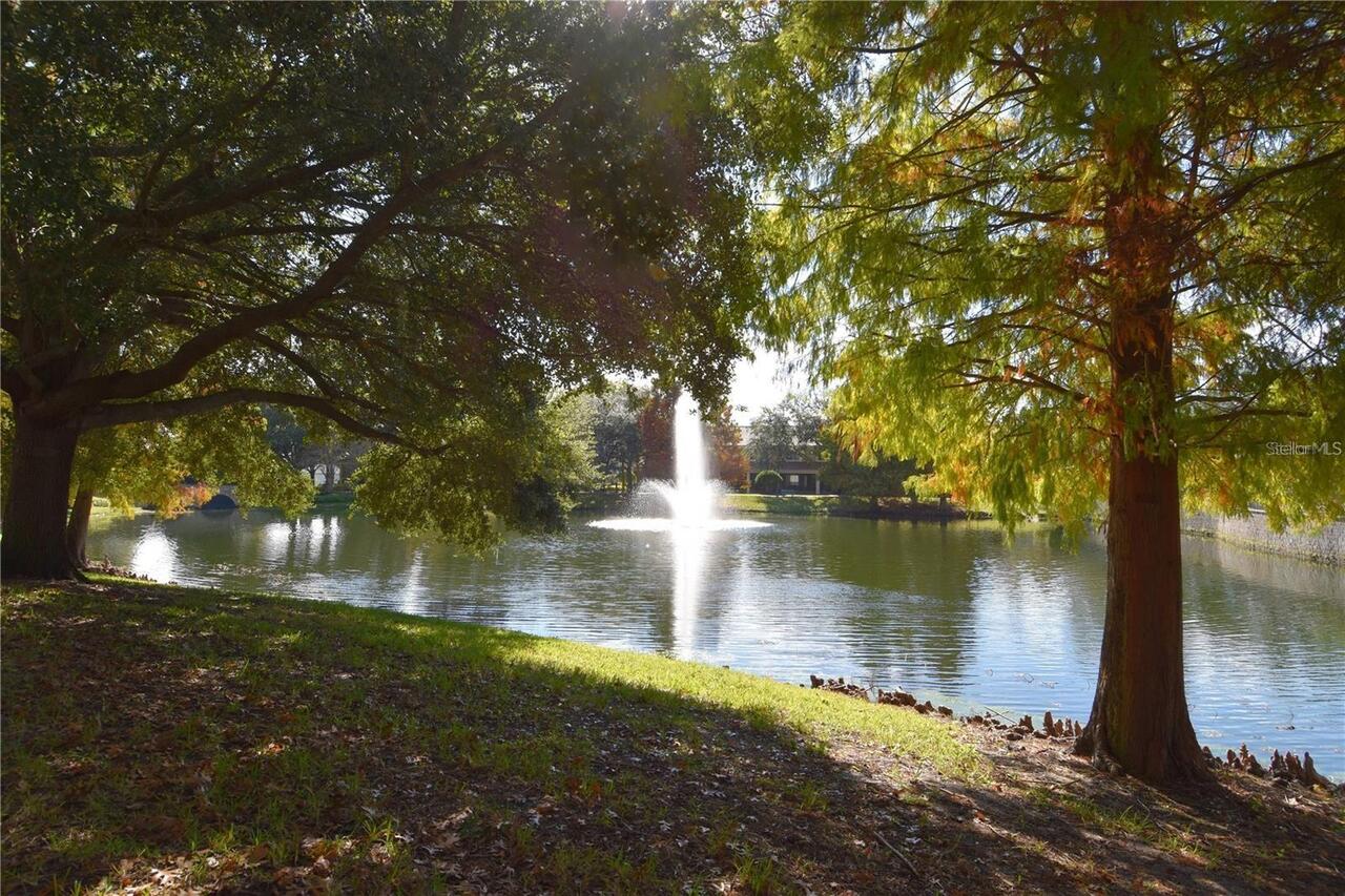 Listing Photo 34