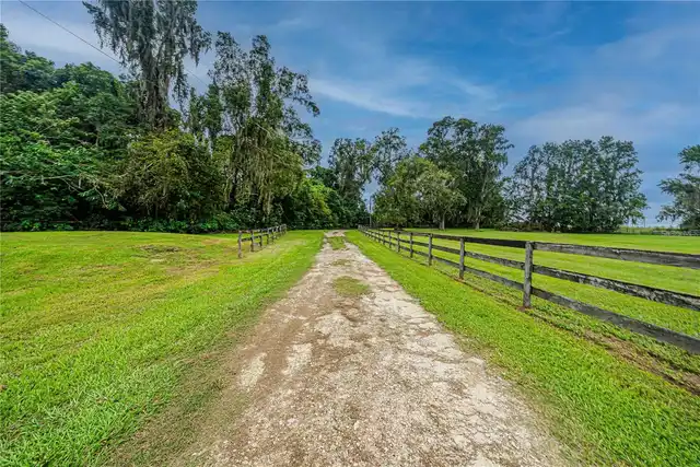 Listing Photo 69