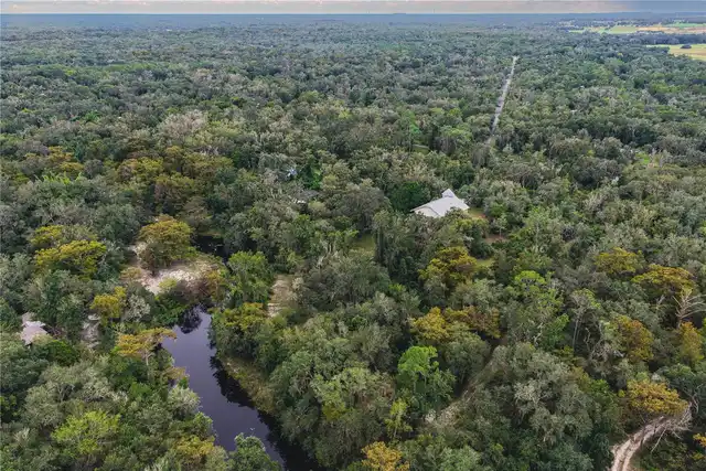 Dade City Real Estate