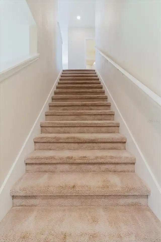 Listing Photo 29