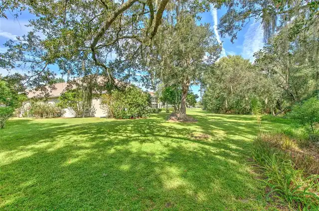 Listing Photo 81
