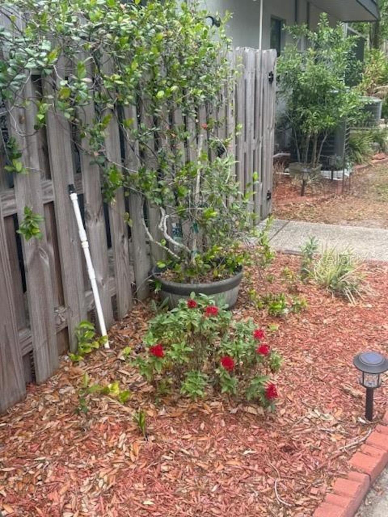 Listing Photo 10