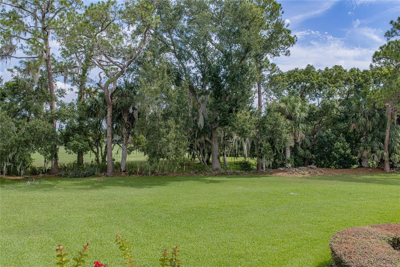 Listing Photo 57