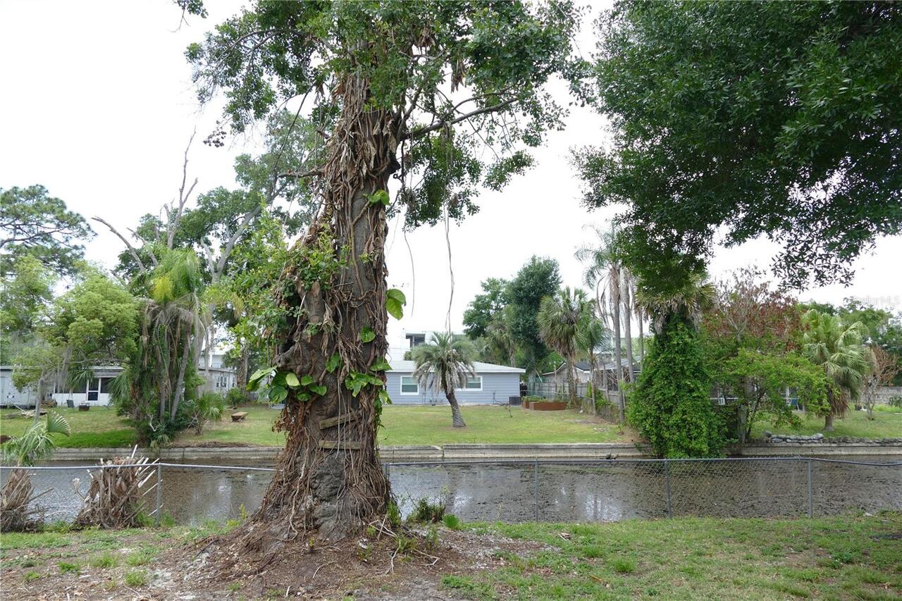 Listing Photo 32