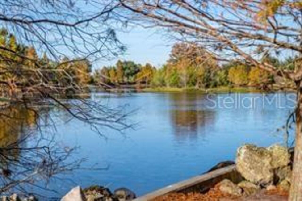 Listing Photo 23