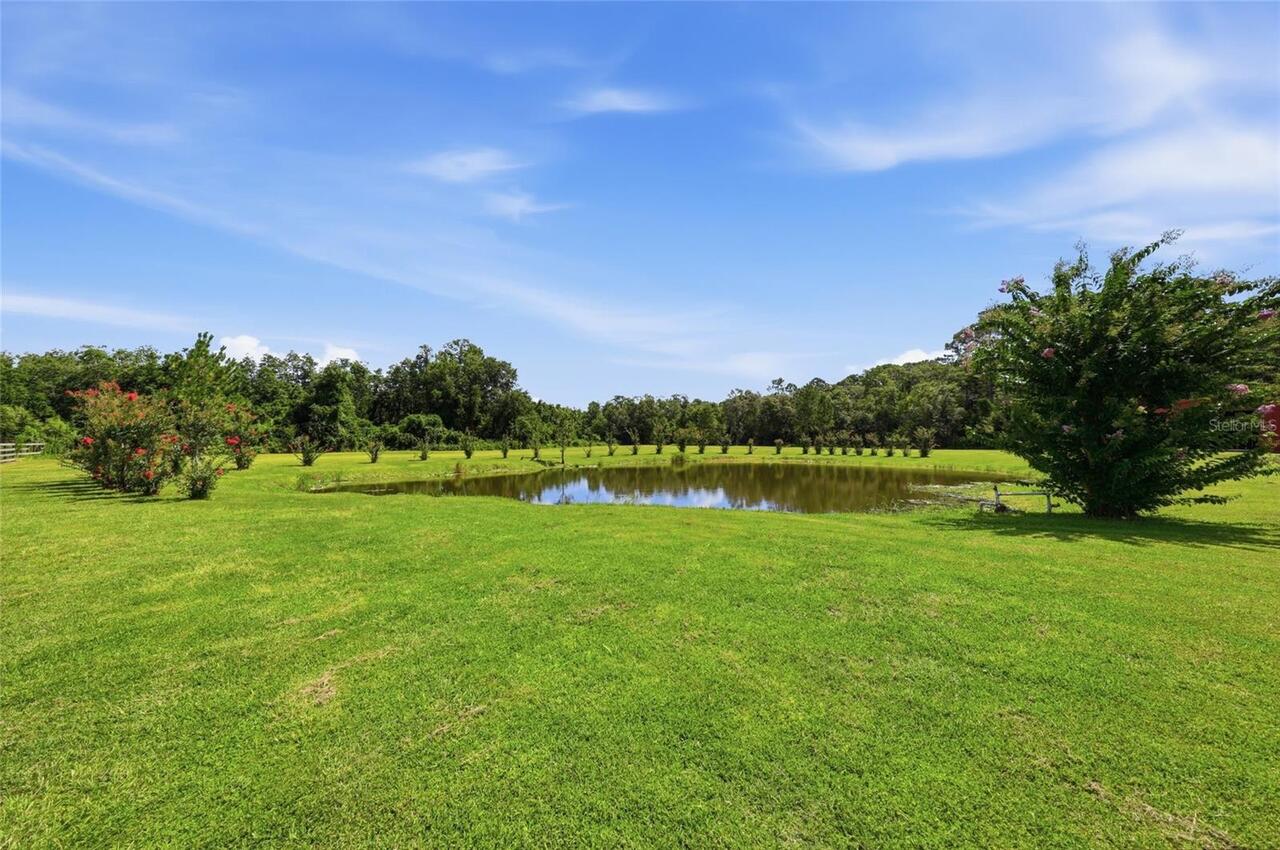 Listing Photo 58