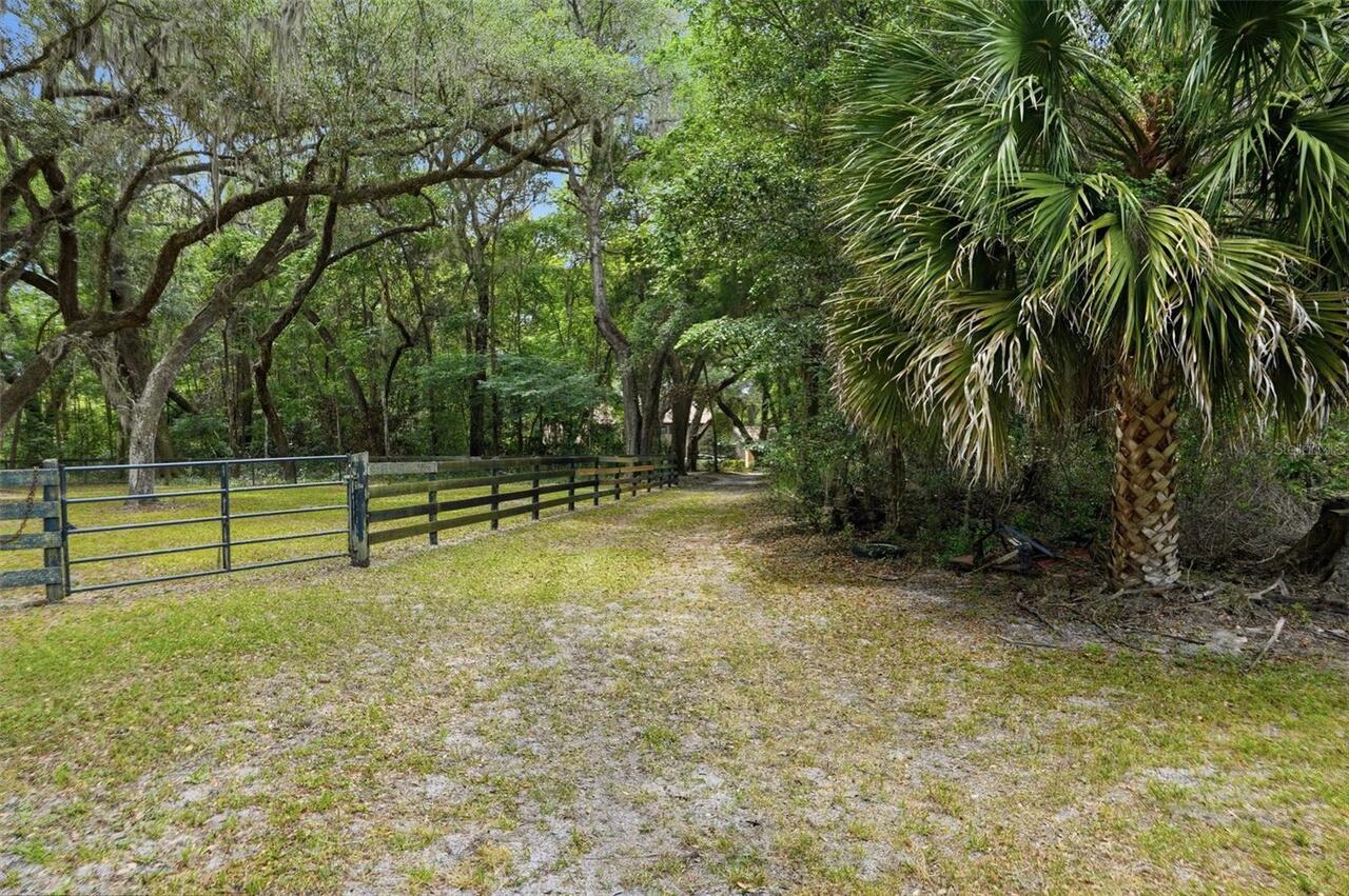 Listing Photo 82