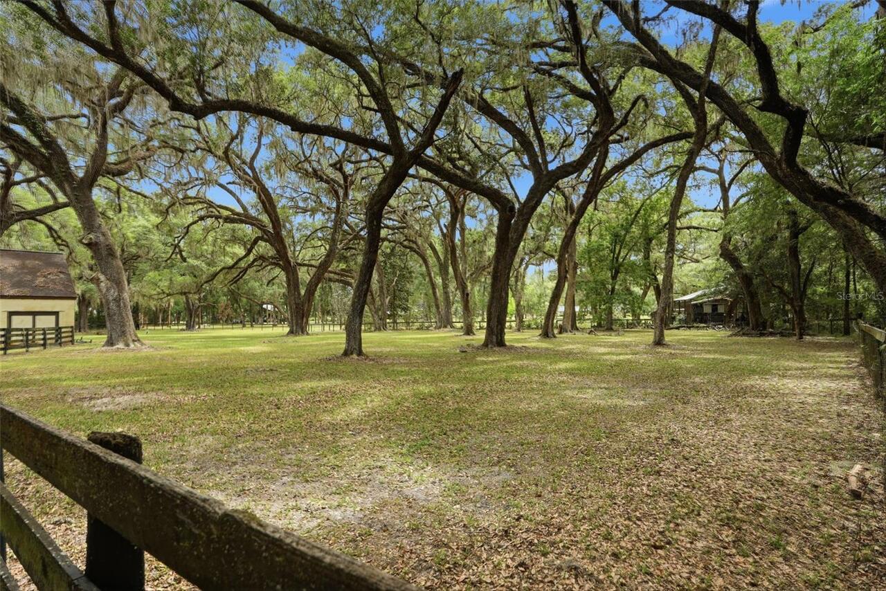 Listing Photo 84