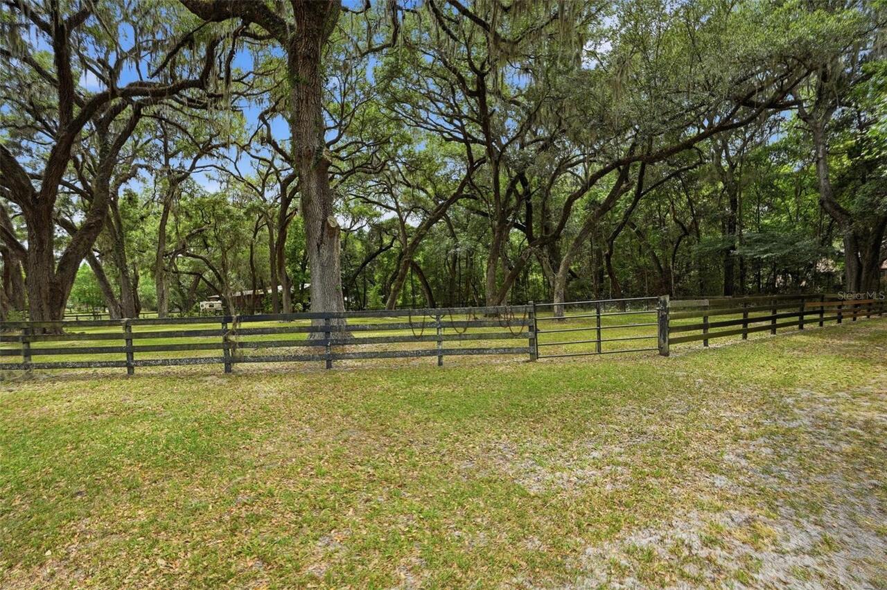 Listing Photo 86