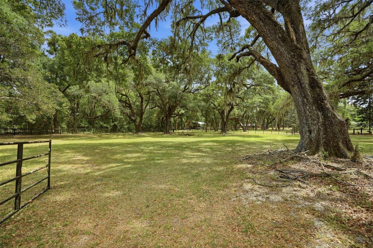 Listing Photo 90