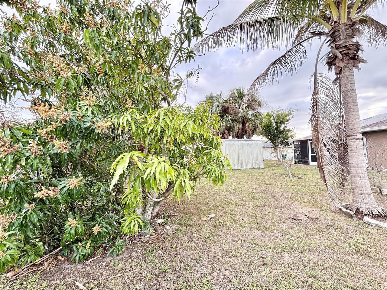 Listing Photo 34