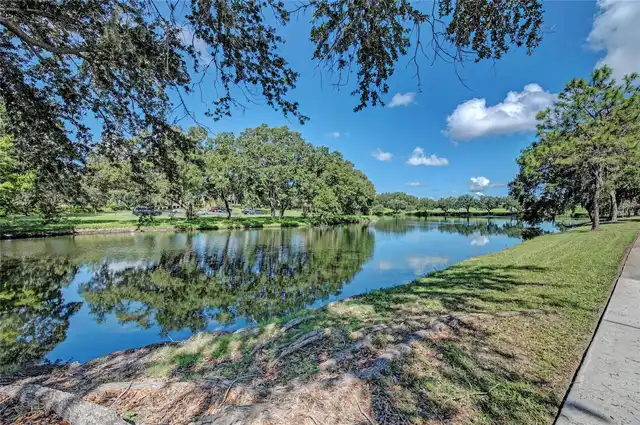 Listing Photo 83