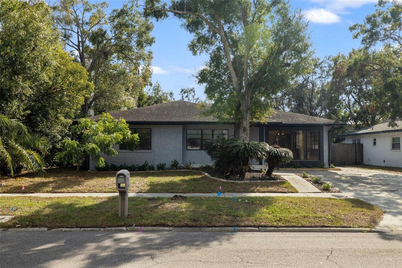 Tampa Real Estate