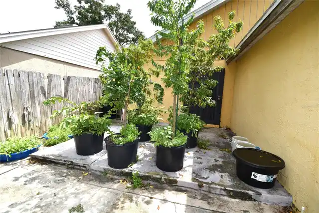 Listing Photo 25