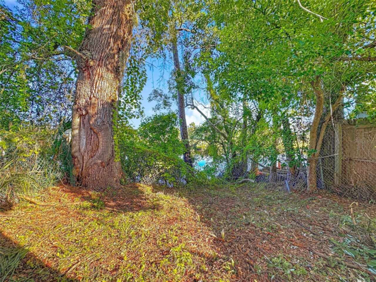 Listing Photo 18