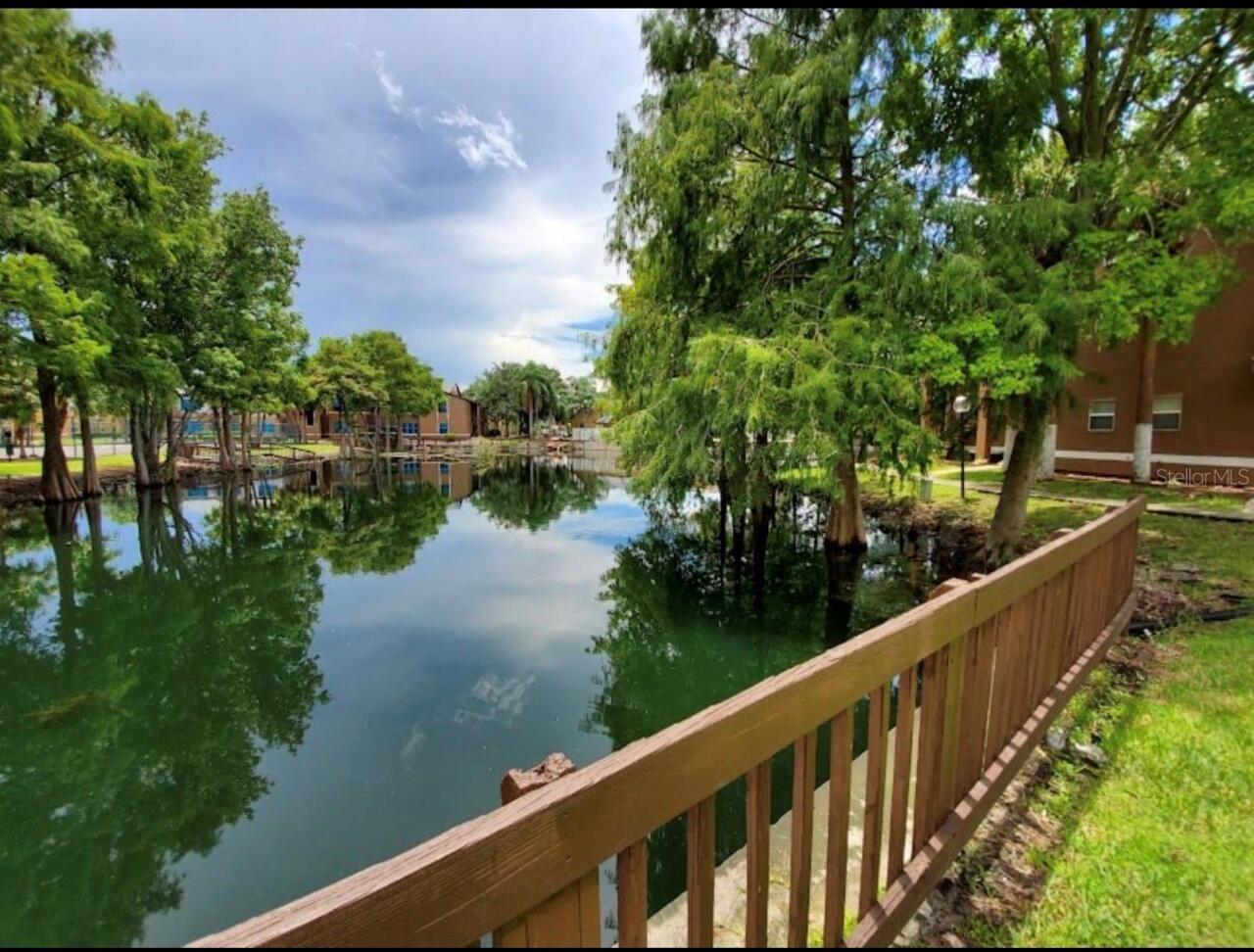 Listing Photo 12