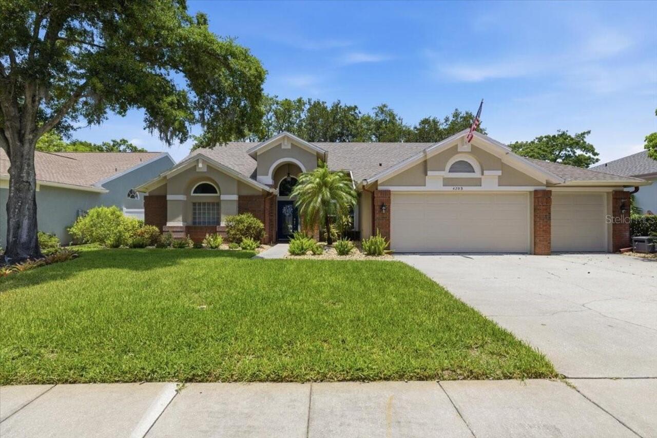 Palm Harbor Real Estate