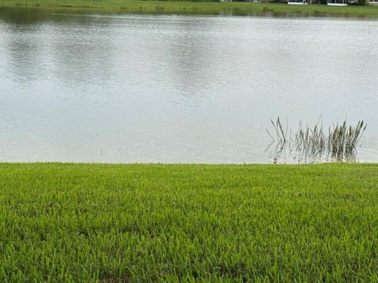 Listing Photo 65
