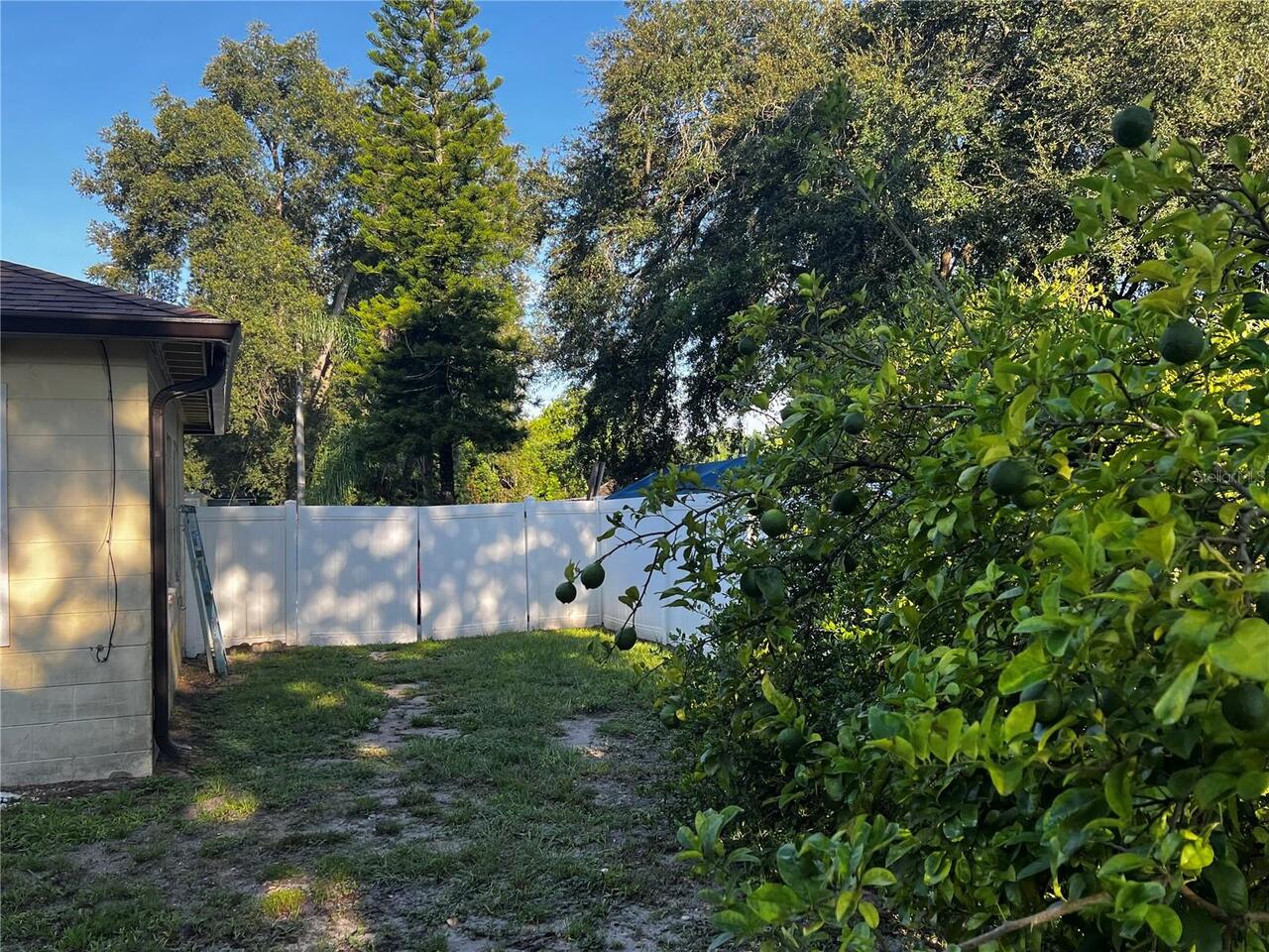 Listing Photo 15
